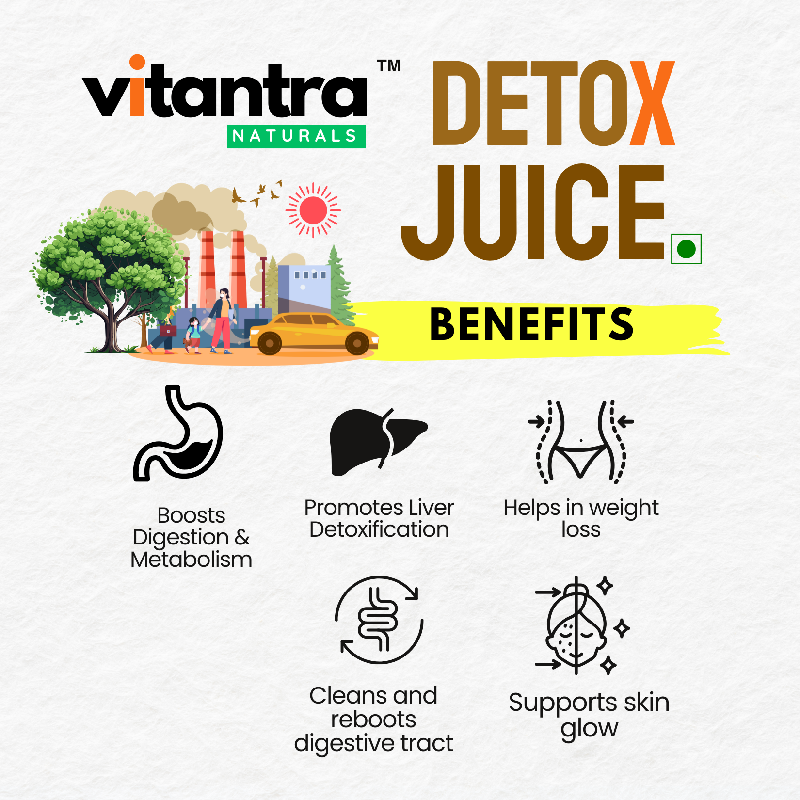 Vitantra Naturals Herbal Detox Juice – Ayurvedic Cleansing Drink for Liver Detox, Weight Loss & Digestive Health