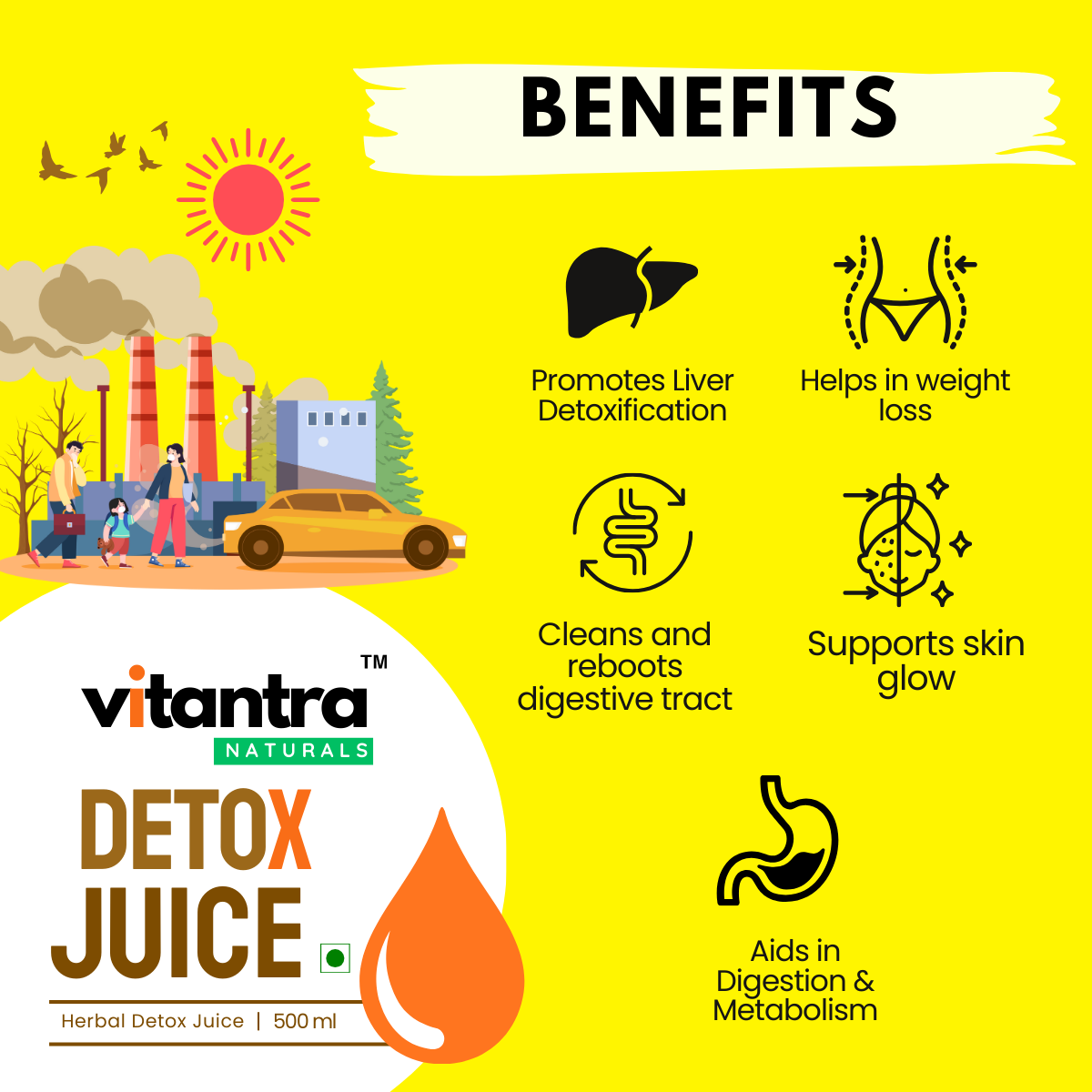Vitantra Naturals Herbal Detox Juice – Ayurvedic Cleansing Drink for Liver Detox, Weight Loss & Digestive Health